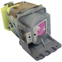 ACER FSV1343 Лампа с модулем