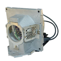 BENQ 5J.J2D05.011 Лампа с модулем