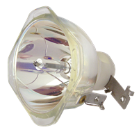 INFOCUS SP-LAMP-026 Лампа без модуля