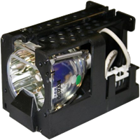 OPTOMA BL-FP120B (SP.81416.001) Лампа с модулем