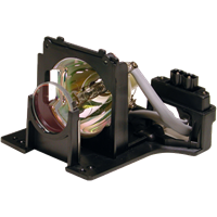 OPTOMA BL-FU250B (SP.86501.001) Лампа с модулем