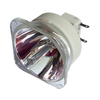 OPTOMA BL-FU310C (FX.PM484-2401) Лампа без модуля